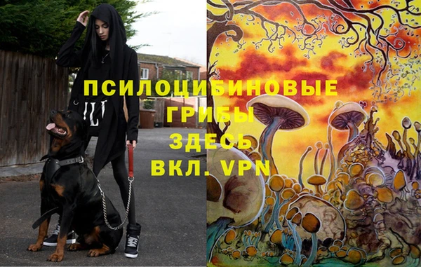 альфа пвп VHQ Богородицк