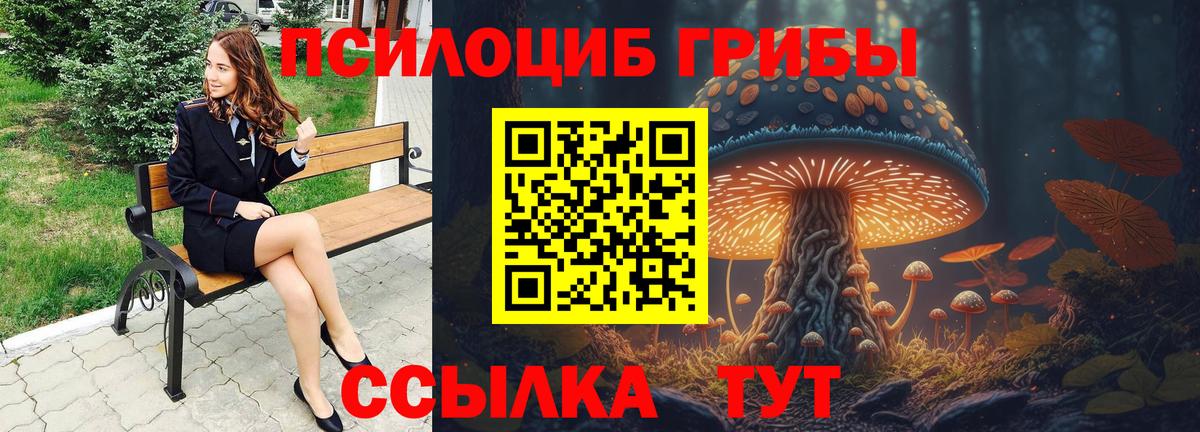 Псилоцибиновые грибы мицелий Мончегорск