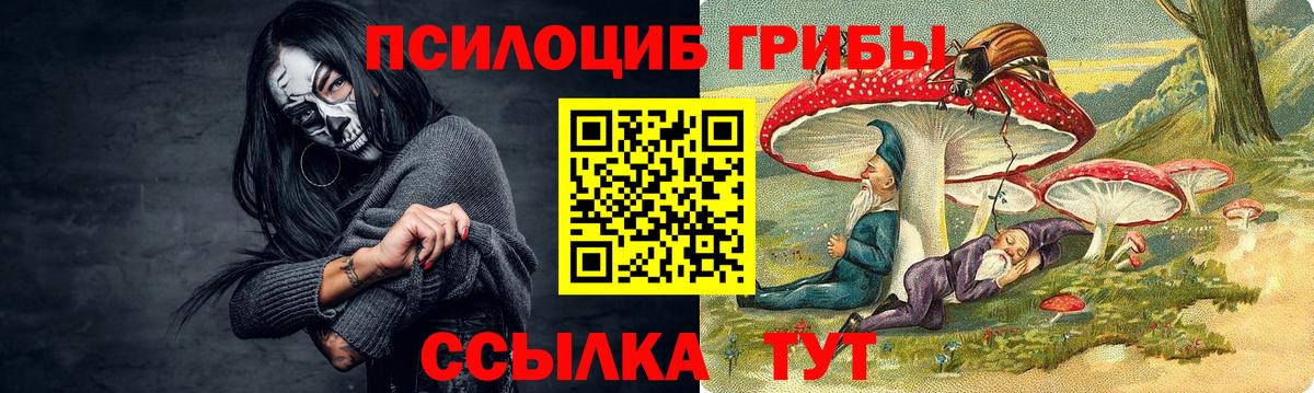 Псилоцибиновые грибы Cubensis  Вход с VPN  Мончегорск 